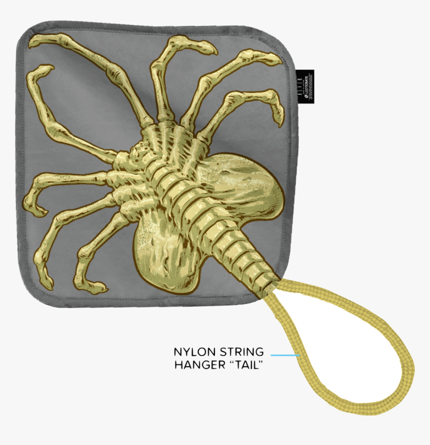 Facehugger, HD Png Download, Free Download