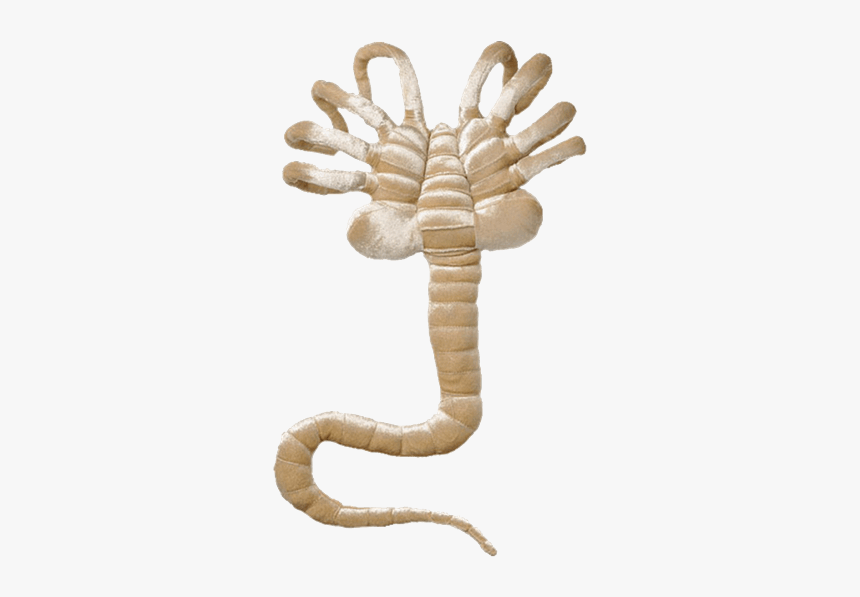 Facehugger Png - Aliens - Facehugger Plush - Zing Pop - Facehugger Plush, Transparent Png, Free Download