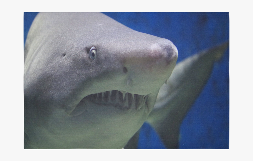 Great White Shark Attack Cotton Linen Wall Tapestry - Great White Shark, HD Png Download, Free Download