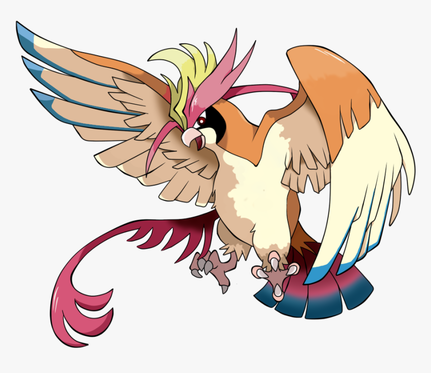 Pokémon » Thread - Pokemon Mega Pidgeot, HD Png Download, Free Download