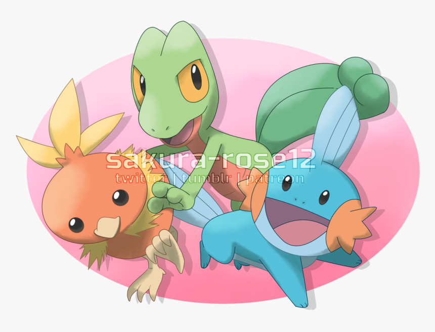 Mudkip, Treeko And Torchic Won The Weekly Poll On Patreon - Cartoon, HD Png Download, Free Download
