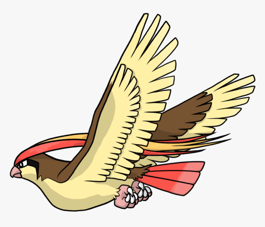 Pidgeot No Background Clipart , Png Download - Pidgeot Transparent Background, Png Download, Free Download