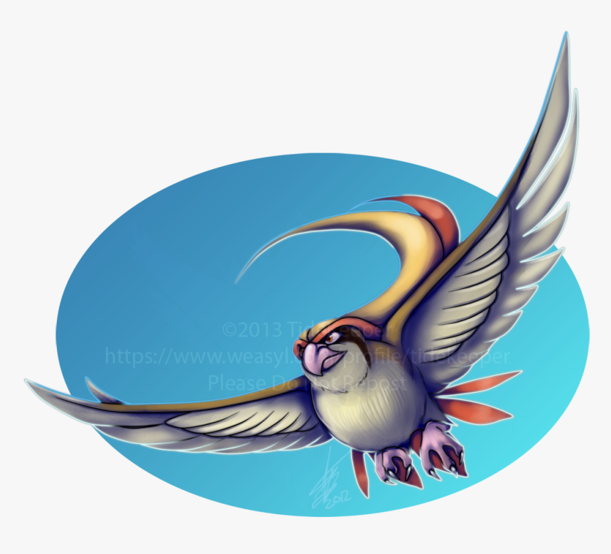 European Swallow - Pidgeot, HD Png Download, Free Download