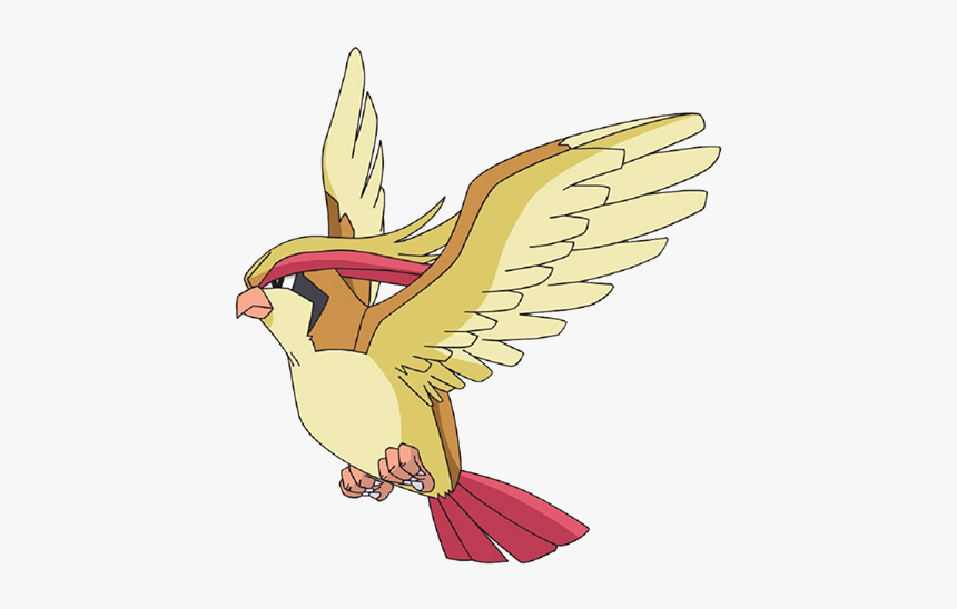 Pidgeot Pokemon Png, Transparent Png, Free Download