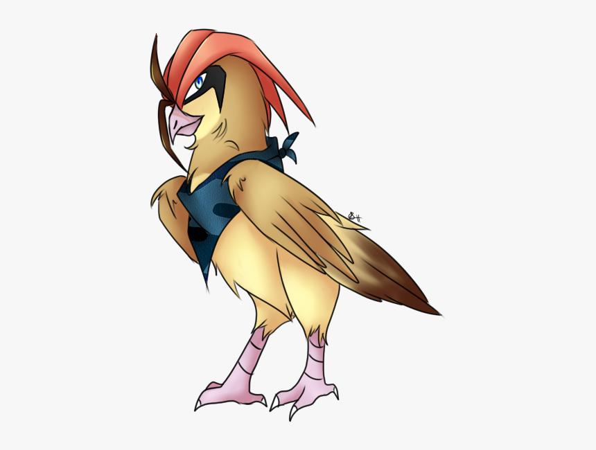 Pidgeotto Oc - Bird Of Prey, HD Png Download, Free Download