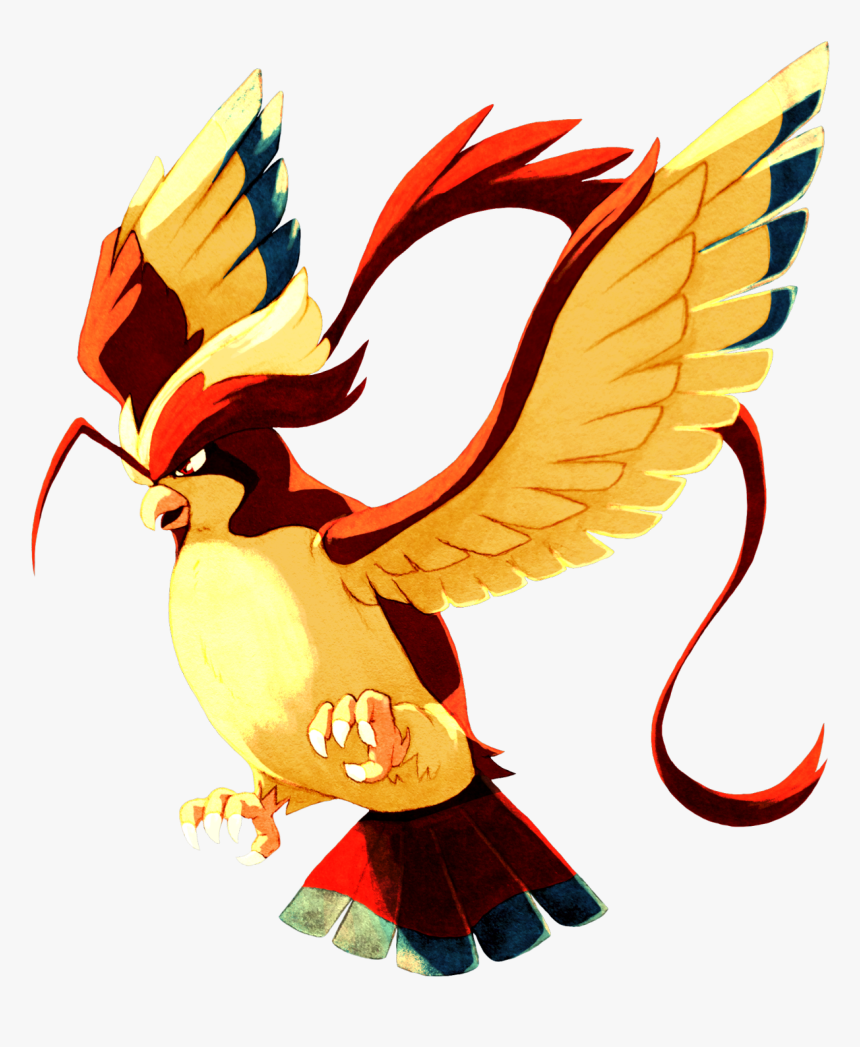 Pidgeot Mega, HD Png Download, Free Download