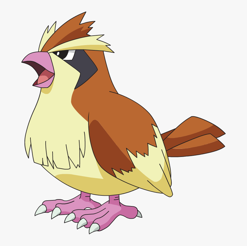 Pokemon Pidgey, HD Png Download, Free Download