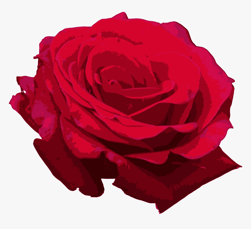 Transparent Red Roses Png - Red Watercolor Rose Png, Png Download, Free Download