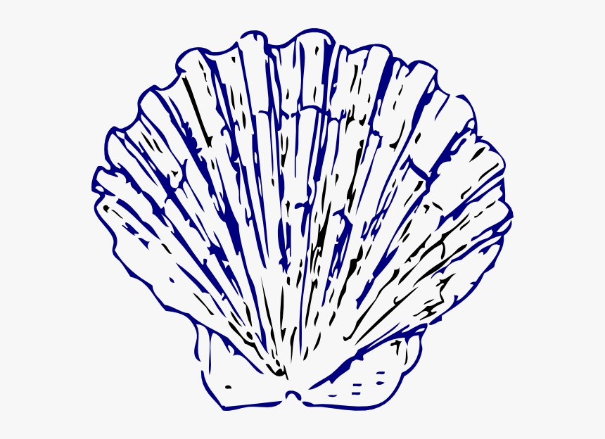 Sea Shell 2 Svg Clip Arts - Blue Seashells Transparent Background, HD Png Download, Free Download