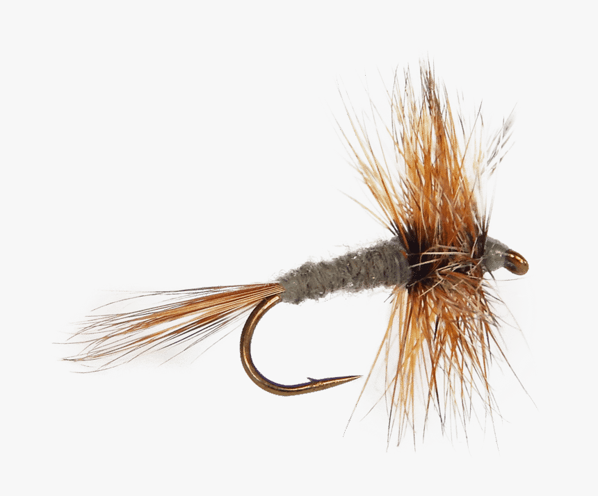 Adams Fly, Mayfly Pattern For Trout, Adams Fly For - Trout Fly, HD Png Download, Free Download