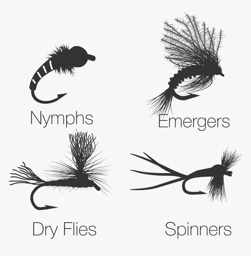 Fly Fishing Flies Logo, HD Png Download, Free Download