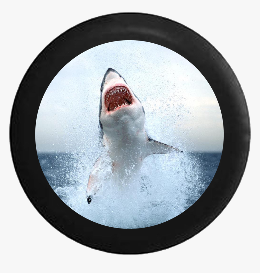 Great White Hudson River, HD Png Download, Free Download