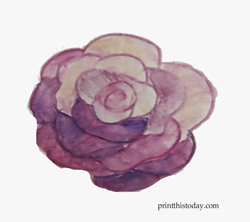 Free Handmade Watercolor Rose Clipart - Floribunda, HD Png Download, Free Download