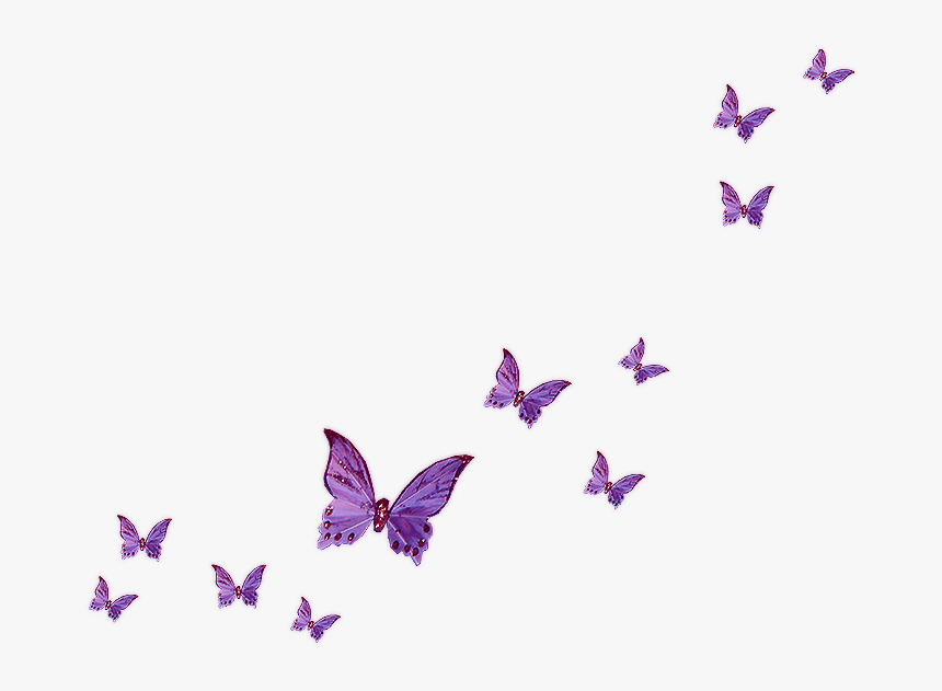 Flies Clipart Purple - Flying Butterflies Transparent Background, HD Png Download, Free Download