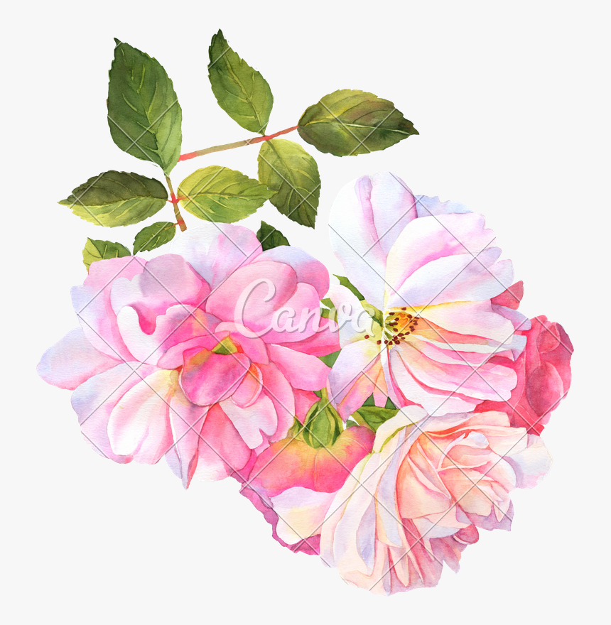 Clip Art Photos By Canva - Watercolor Flower Canva, HD Png Download, Free Download