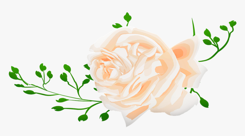 Watercolor Rose, Roses, Pink, Stem, Buds, Nature - Floribunda, HD Png Download, Free Download