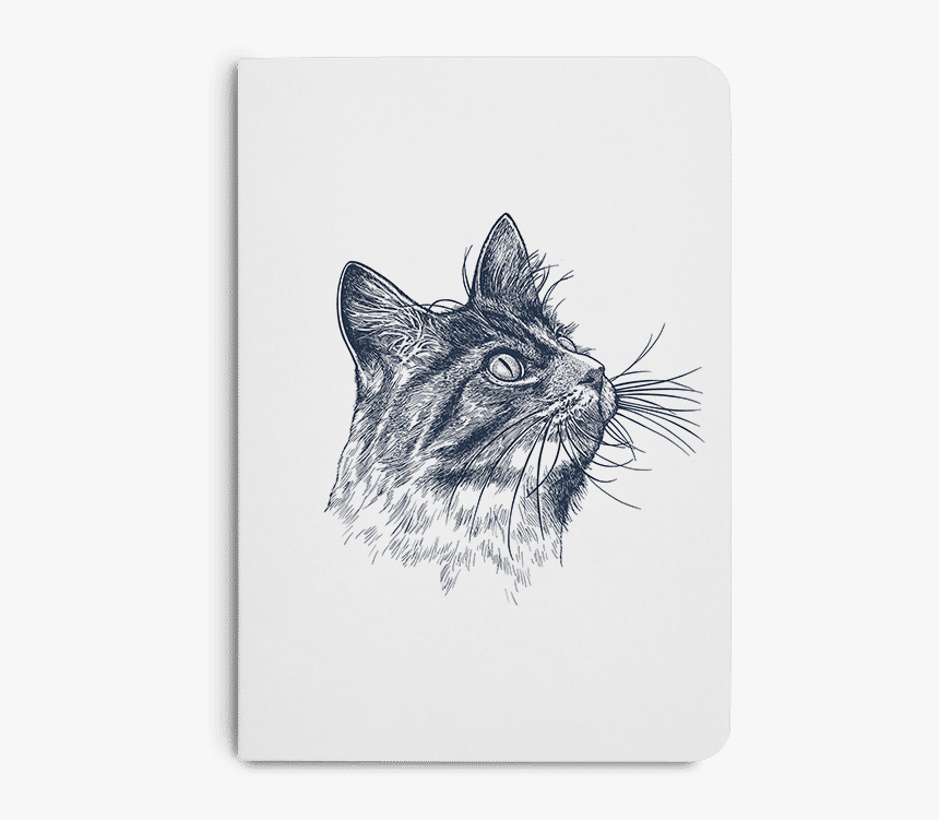 Sketch, HD Png Download, Free Download