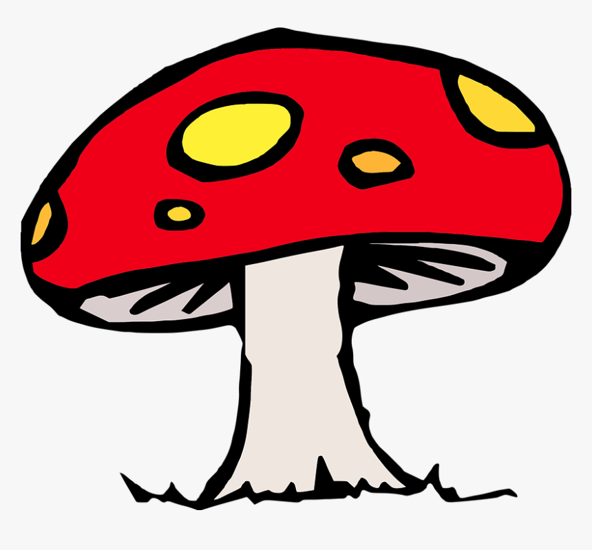 Seta Venenosa, Seta, Cuento De Hadas, Dibujo - Mushroom Clip Art, HD Png Download, Free Download