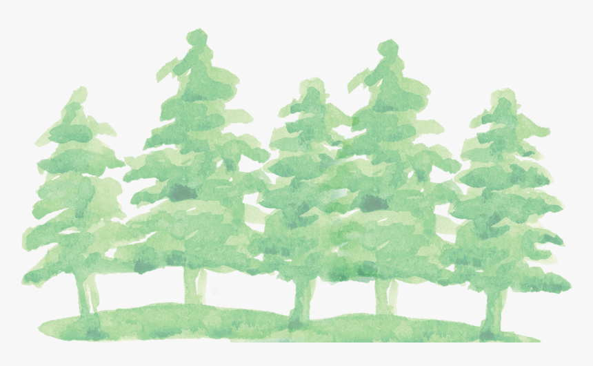 Watercolor Pine Tree Png - Transparent Watercolor Tree Png, Png Download, Free Download