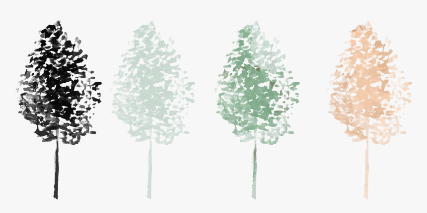 Photoshop Tree Png Painting, Transparent Png, Free Download
