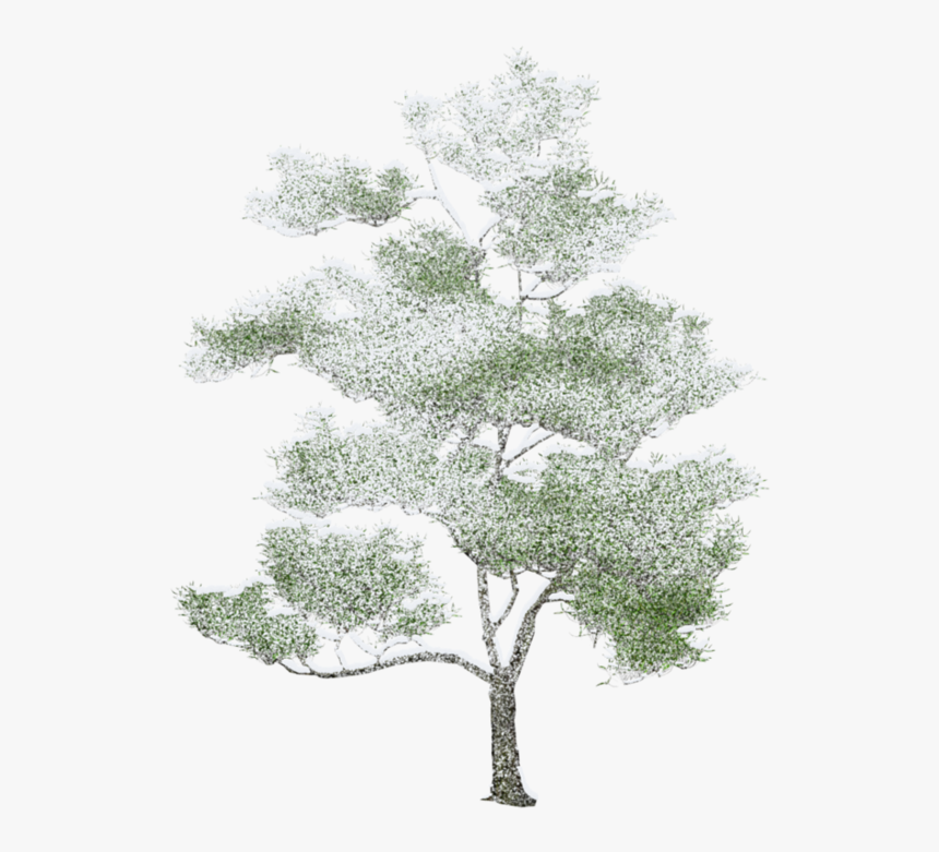 Tree Photoshop, Arbre Png, Drawing Trees, Watercolor - Watercolor Photoshop Trees Png, Transparent Png, Free Download