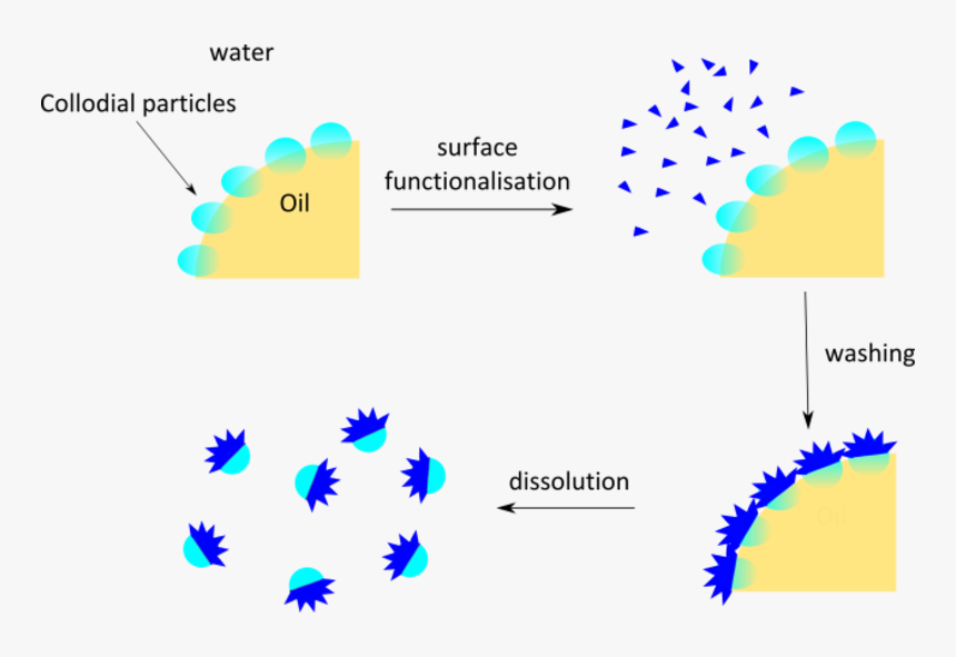 Diagram, HD Png Download, Free Download