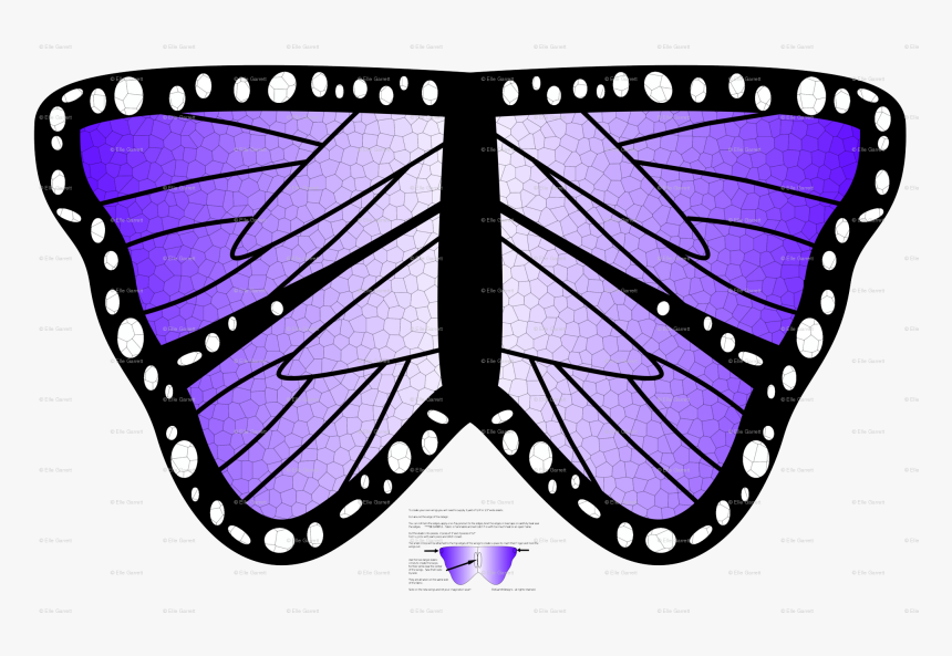Transparent Butterfly Wings Png - Brush-footed Butterfly, Png Download, Free Download