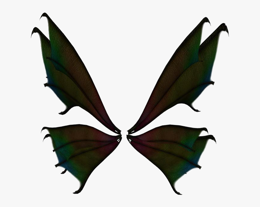 Wing 1 Transparent Background By Stock Cmoura - Butterfly Wings With No Background, HD Png Download, Free Download