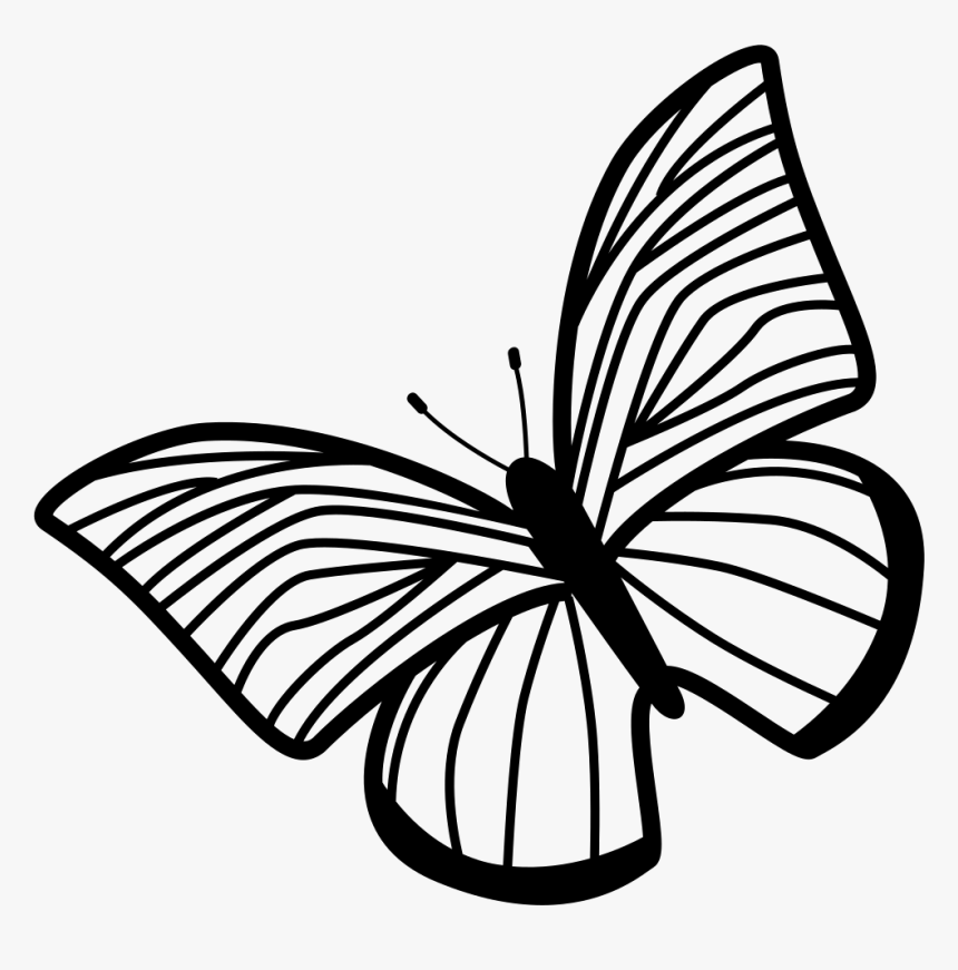 Butterfly Of Thin Striped Wings Rotated To Left Comments - Clock To Draw Hands, HD Png Download, Free Download