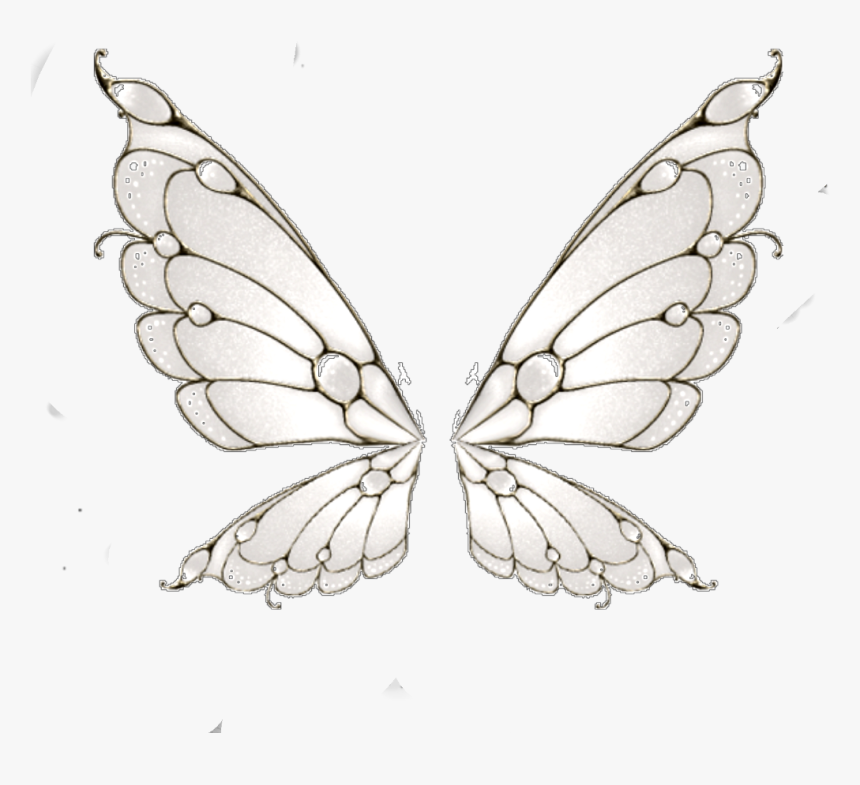 Fairywings Wings Fairies @laetitiadez - Swallowtail Butterfly, HD Png Download, Free Download