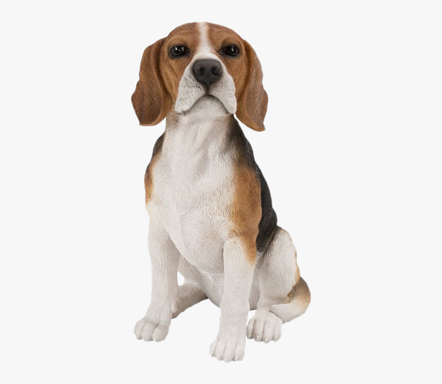 Dog Sitting Png Clipart - Beagle Dog Sitting, Transparent Png, Free Download