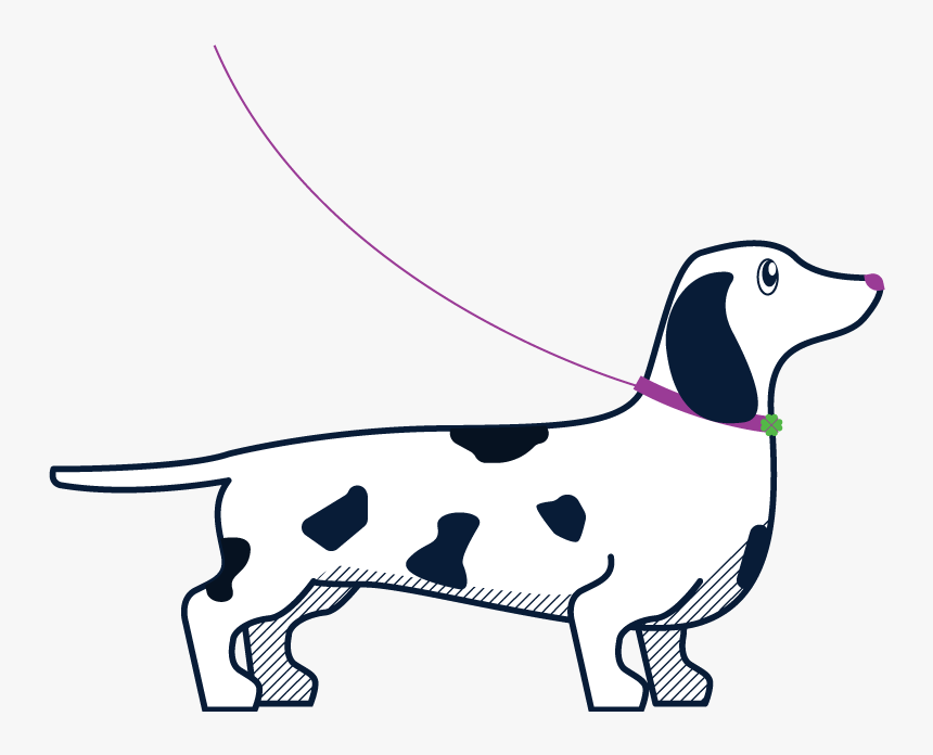 Dog Sitter, Dog Sitting, Dog Walking Clipart , Png - Pet Sitting, Transparent Png, Free Download