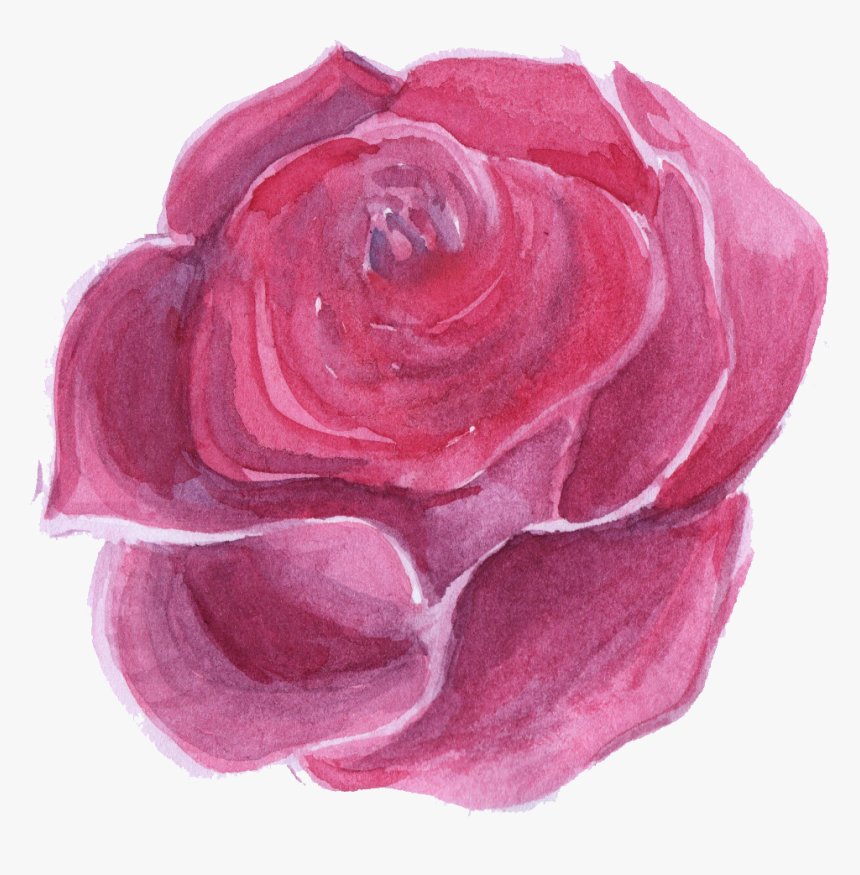 Pink,garden Roses,flower,hybrid Tea Rose,rose,petal,rosa - Transparent Watercolor Flowers Png, Png Download, Free Download