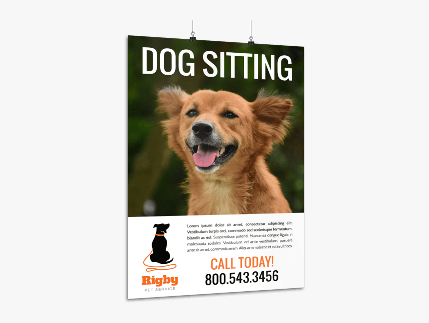 Dog Sitting Contact Poster Template Preview - Companion Dog, HD Png Download, Free Download