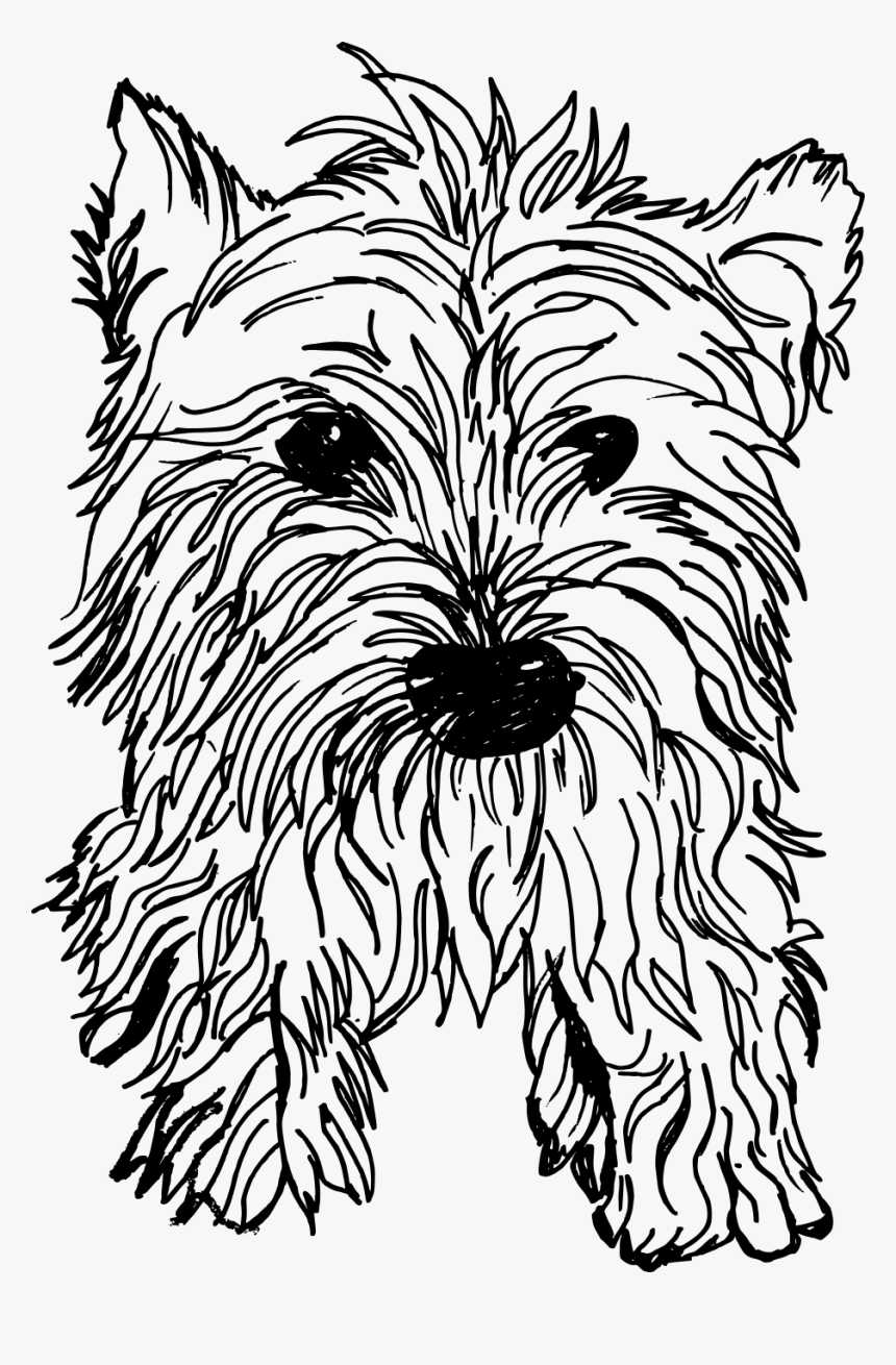 Sporting Lucas Terrier, HD Png Download, Free Download