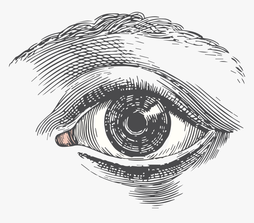 Drawing Medium Close Up - Eye Engraving, HD Png Download, Free Download