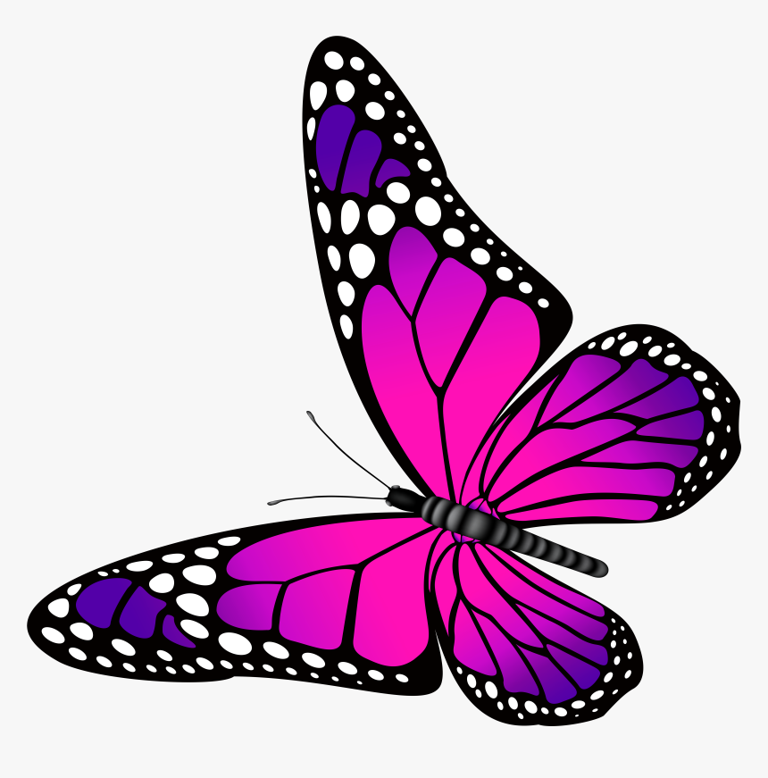 Butterfly Pink Purple Clip Art - Butterfly Pink And Purple, HD Png Download, Free Download