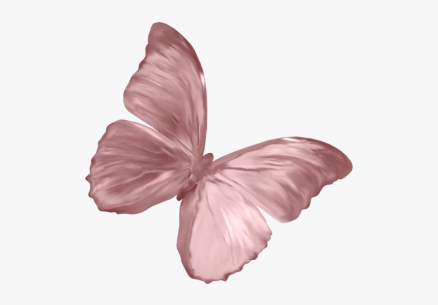 #pink #butterfly #animal #overlay #edit #cute #aesthetic - Rose Gold Butter...