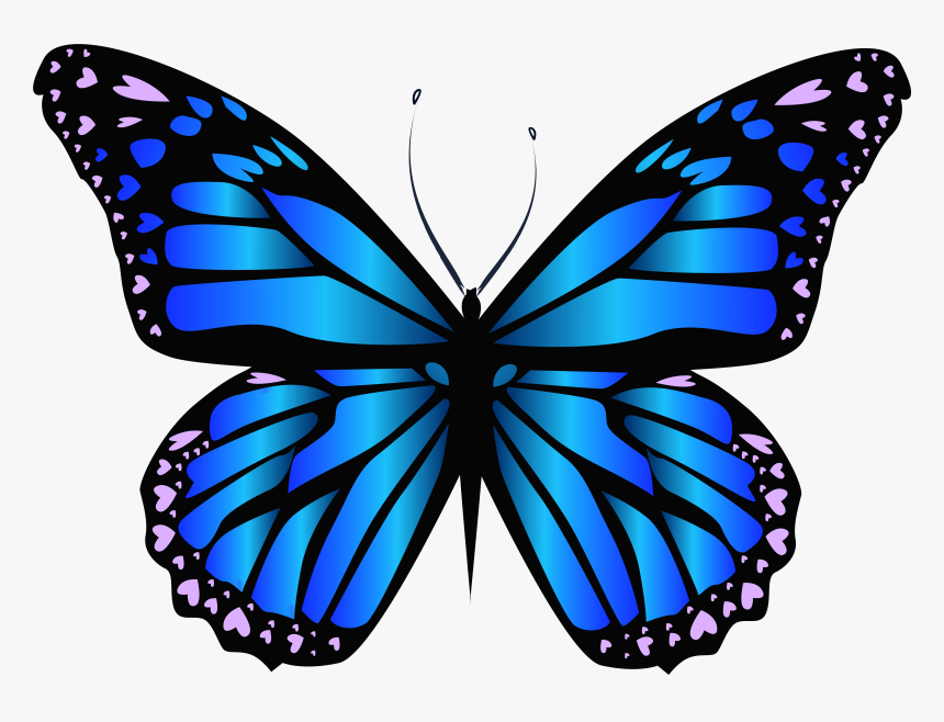 Clip Art Blue Butterfly Transparent - Butterfly Clipart, HD Png Download, Free Download