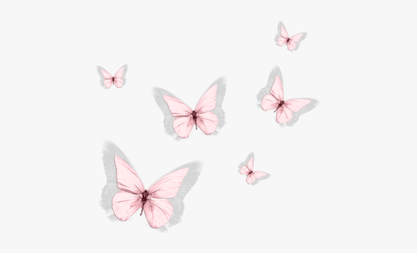 Pink Aesthetic Butterfly Png, Transparent Png, Free Download