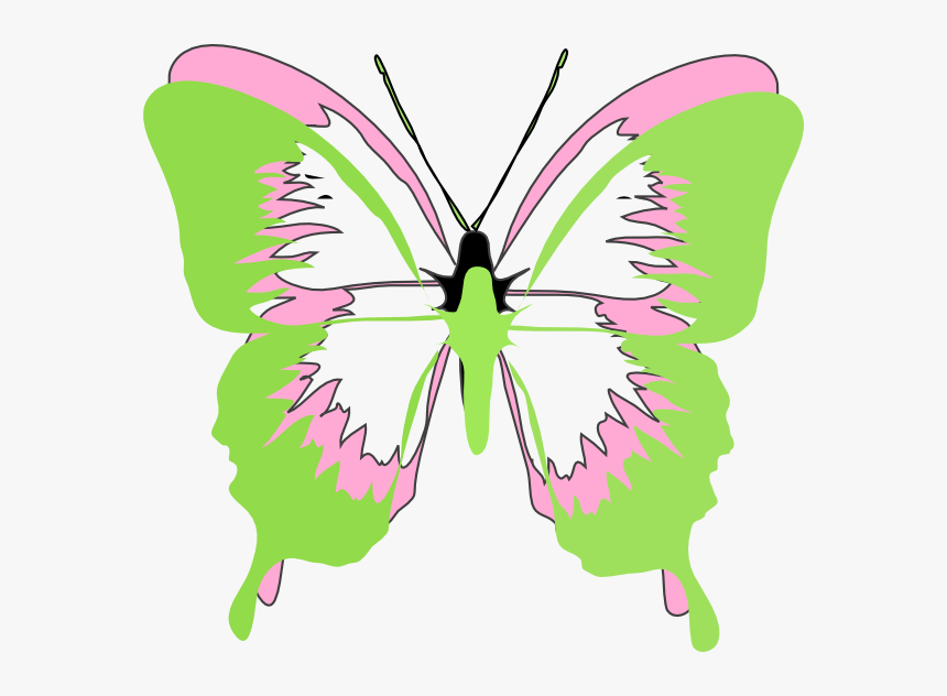 Butterfly Cartoon Black And White, HD Png Download, Free Download