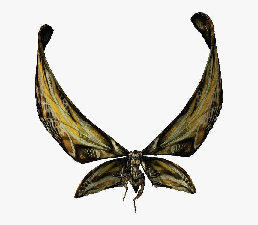 Mothralarvae Render Mothra 2019 Transparent Hd Png Download Kindpng - roblox mothra wings