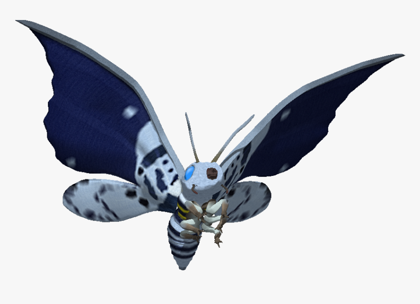 Twitter , Png Download - Short-tailed Blue, Transparent Png, Free Download