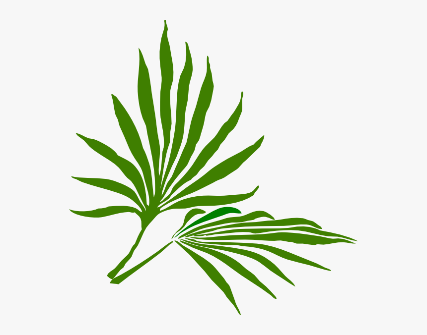 Transparent Easter Religious Clip Art - Palm Frond Clip Art, HD Png Download, Free Download