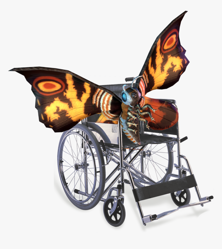 Wheel Chair Png, Transparent Png, Free Download