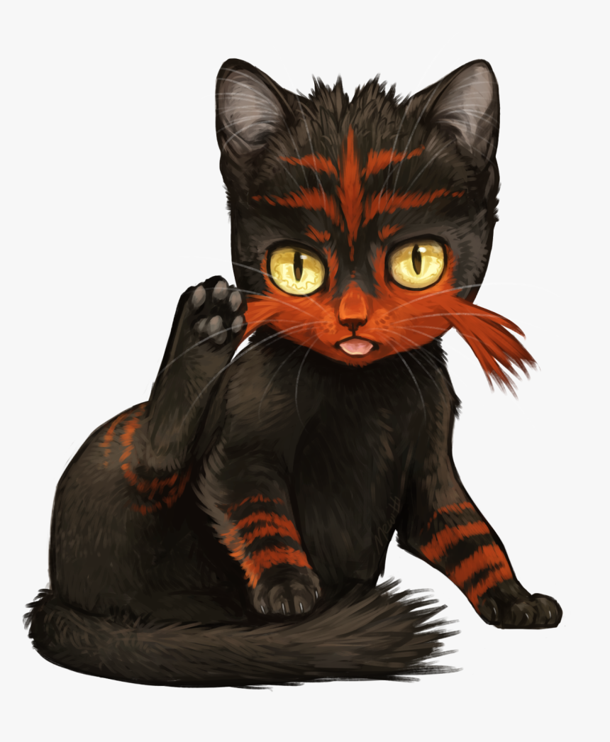 Pokémon Sun And Moon Misty Cat Mammal Small To Medium - Pokemon Litten In Real Life, HD Png Download, Free Download