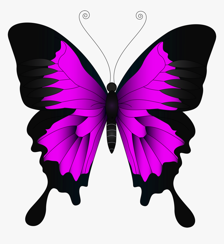Pink Butterfly Png Clip Art Image - Clipart Yellow Butterfly, Transparent Png, Free Download