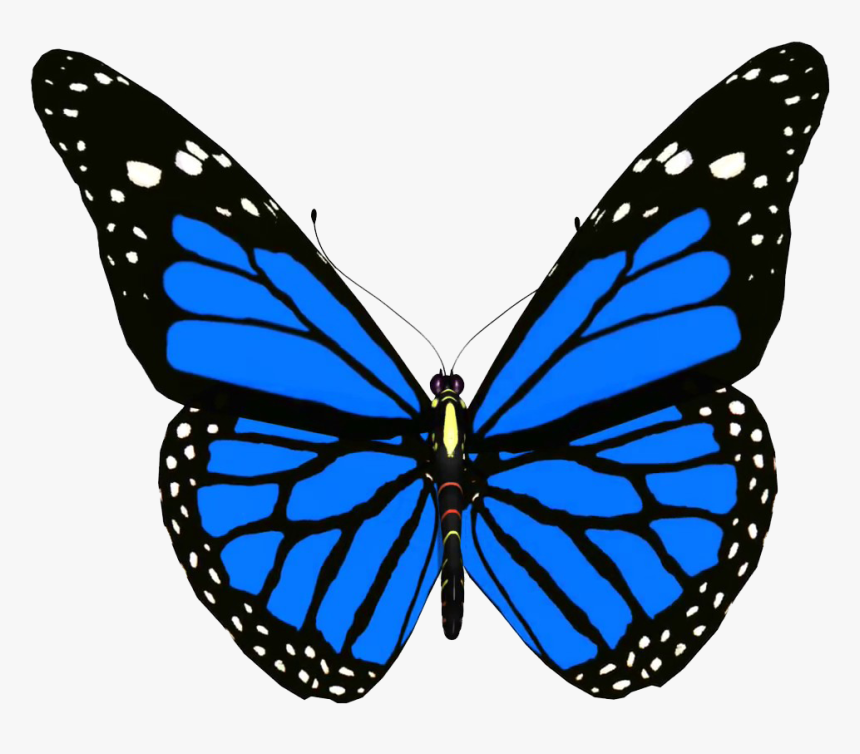 Colorful Butterfly Png Background - Blue Monarch Butterfly Free, Transparent Png, Free Download