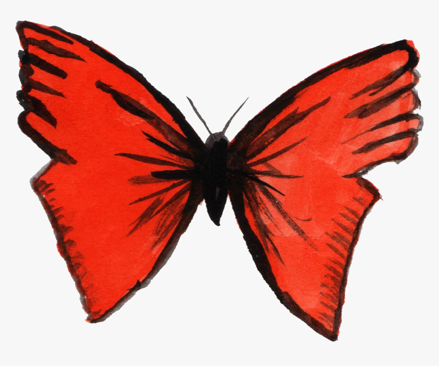 Watercolor Butterfly Png - Swallowtail Butterfly, Transparent Png, Free Download