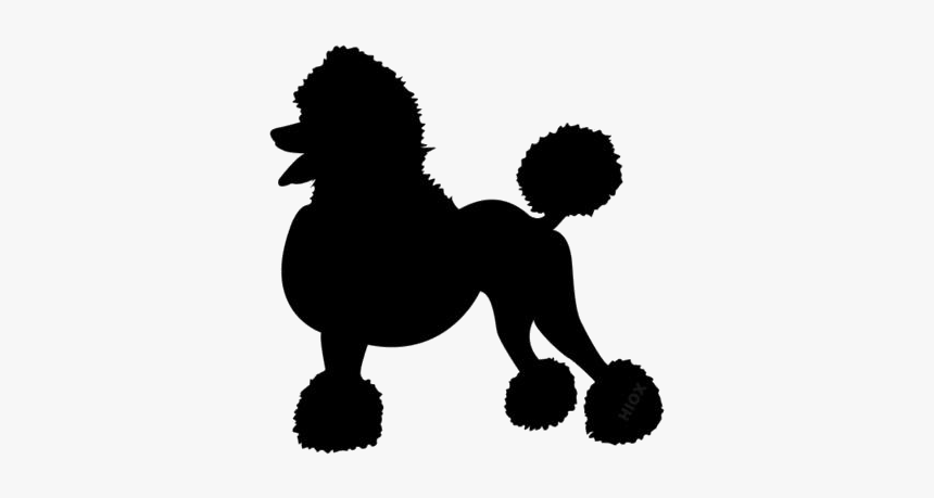 Transparent Poodle Dog Silhouette - Clip Art Poodle Svg, HD Png